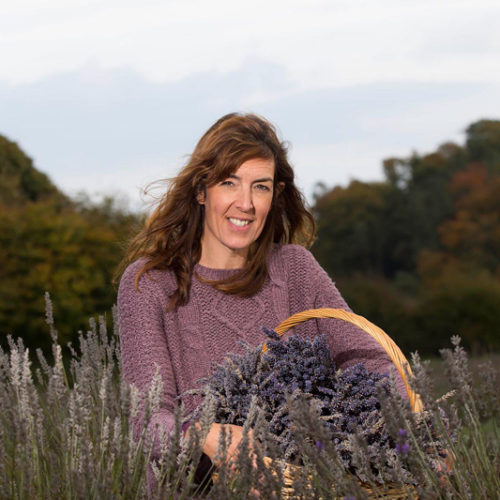 Wexford Lavender Farm – the one and only