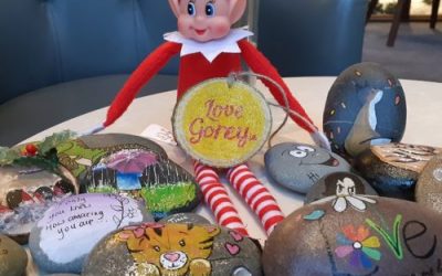 Gorey Town Rocks adds sparkle to lives!