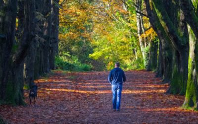 Winter Walks in North Wexford