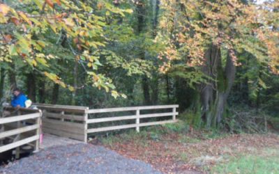 5 September Walks in North Wexford