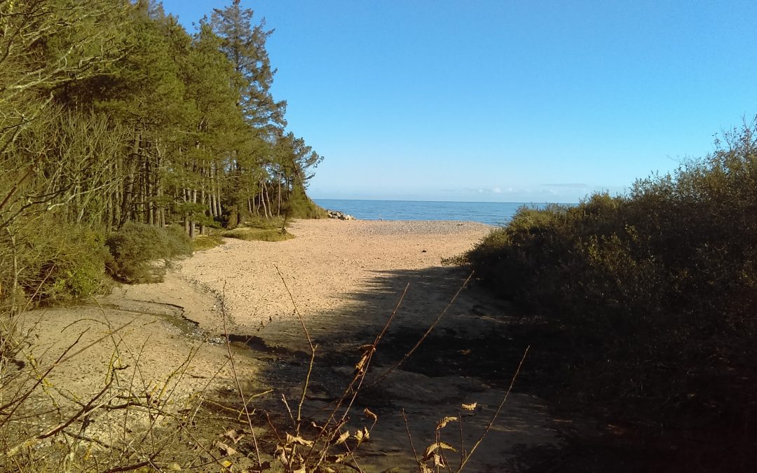 The Road to Courtown by Michael O’Callaghan