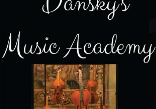 Fairy & The Fiddler – Dansky Music Lessons