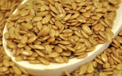 The Benefits of Flaxseeds from The Refillery