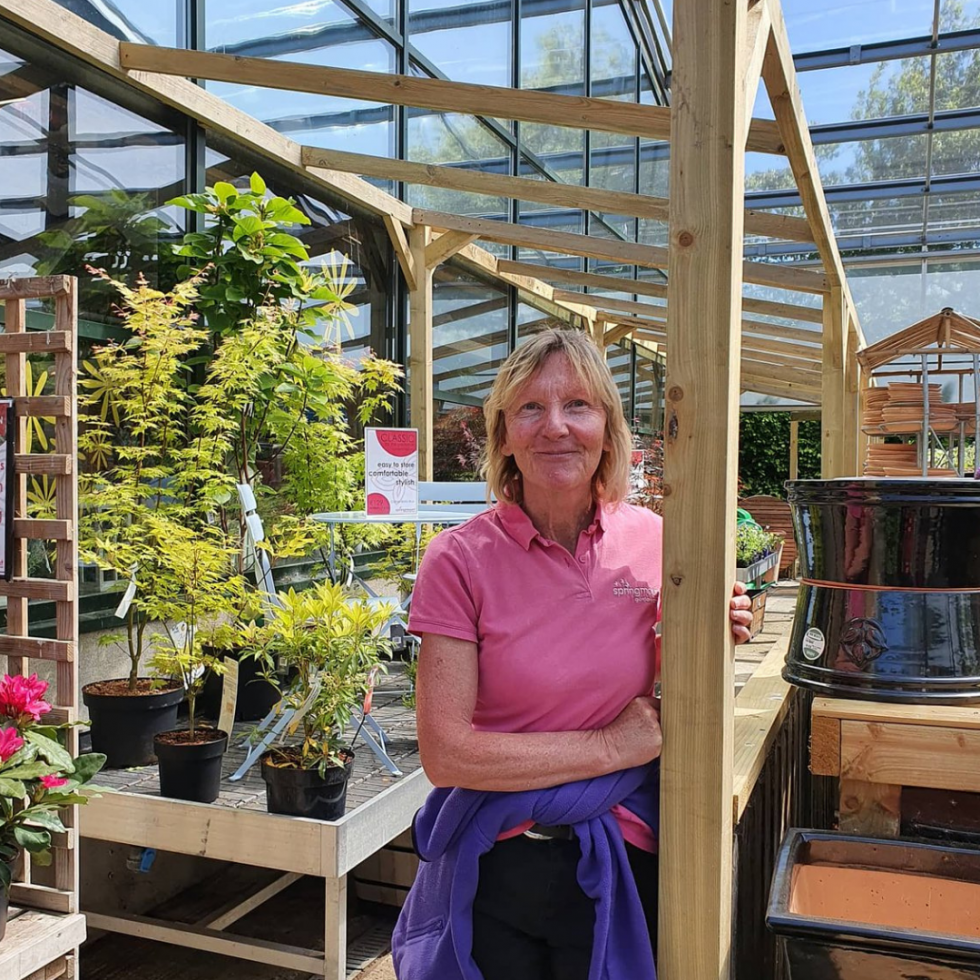 A Visit to Springmount Garden Centre by Michael O’Callaghan - Love Gorey