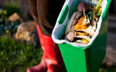 Tips on How to Reduce Kitchen Waste from The Refillery
