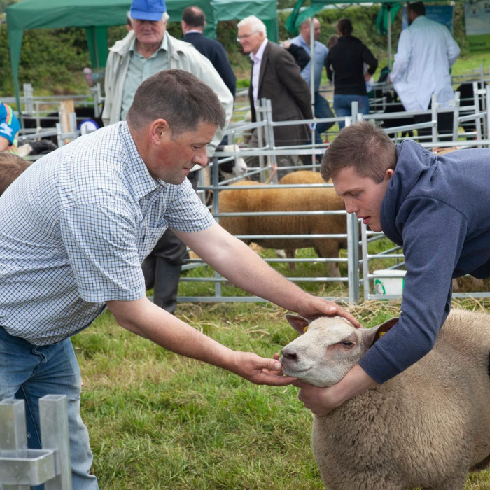 gorey agricultural show 2022