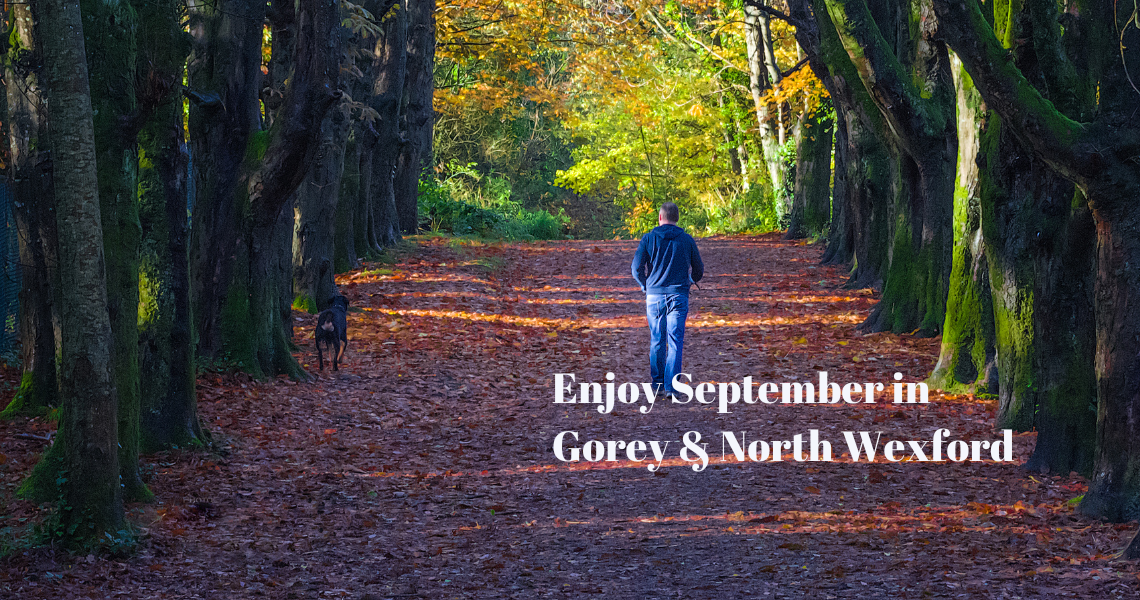September in Gorey and North Wexford