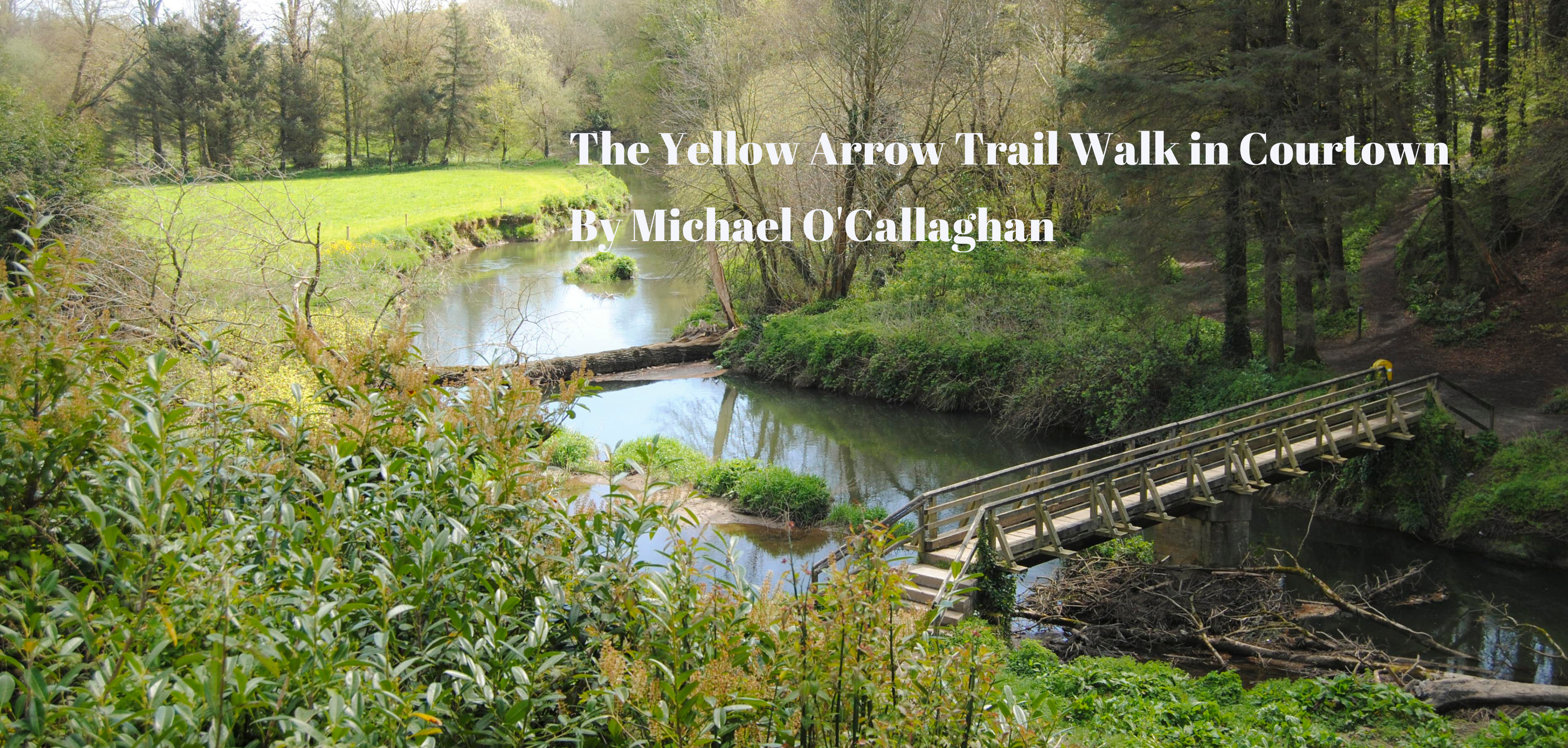 The Yellow Arrow Trail Walk in Courtown
