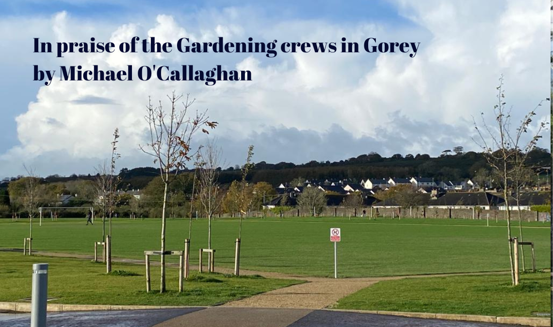 In praise of the Gardening crews in Gorey 