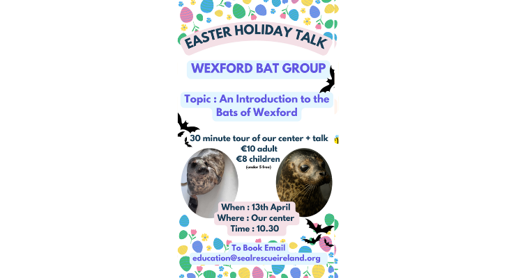 Wexford Bat Group Talk at Seal Rescue Ireland