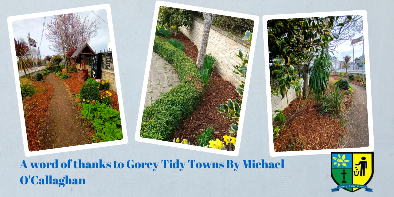 gorey tidy towns