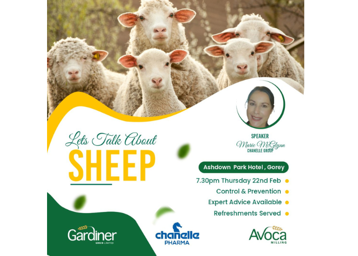Gardiner Grain Sheep Talk