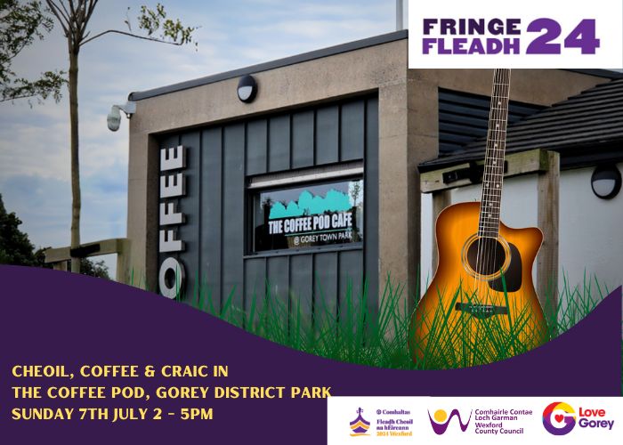 Fringe Fleadh Events 2024 Gorey Wexford