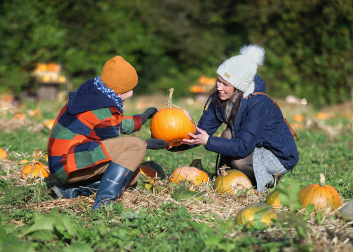 Pumpkin Patch Halloween Fun At Wells House and Gardens