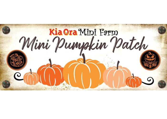 Kia Ora Mini Farm Pumpkin Patch